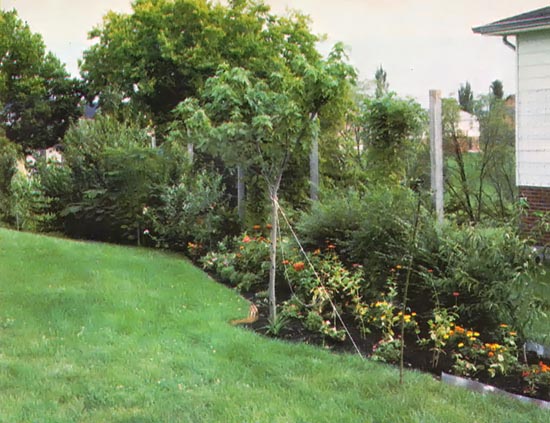 A curved bed of flowers, shrubs, and trees is both graceful and effective.